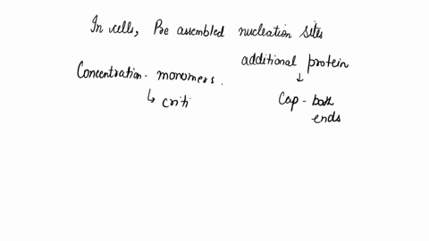 question-292-pts-which-of-the-below-are-arguments-for-the-preservation-of-biodiversity-from-the-perspective-of-environmental-ethics-select-all-that-apply-you-may-need-to-select-more-than-one-28698
