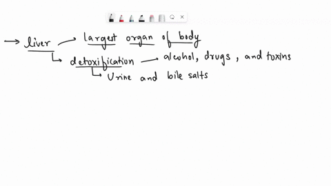 how-to-get-rid-of-toxins-and-conjugation-from-the-liver-00142