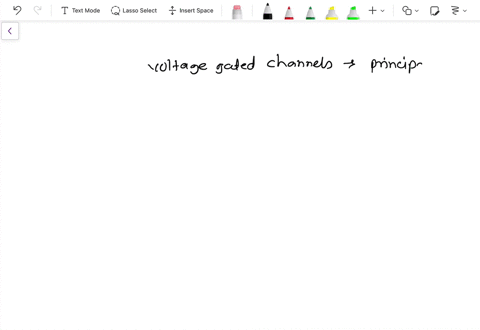 what-are-the-similarities-and-differences-between-voltage-gated-na-and-k-channels-42004