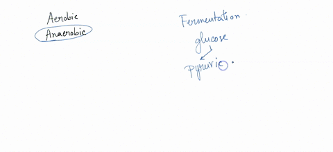 what-is-the-main-purpose-of-anaerobic-fermentation-of-pyruvate-to-ethanol-t0-prevent-pyruvate-from-entering-the-tca-cycle-t0-regenerate-nad-for-glycolysis-to-harvest-atp-in-this-roaction-to-33835