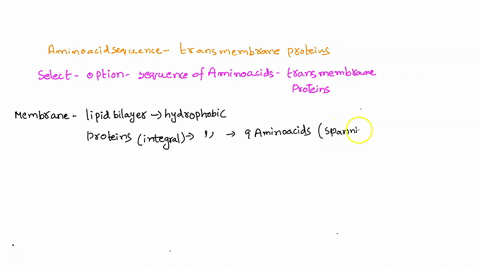 select-the-amino-acid-sequence-you-would-likely-find-on-the-surface-of-the-transmembrane-portion-of-an-integral-membrane-protein-group-of-answer-choices-met-phe-pro-ile-leu-glu-asn-ser-thr-g-18046