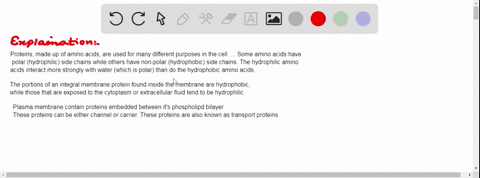 location-is-everything-1-most-proteins-have-hydrophilic-exteriors-and-hydrophobic-interiors-would-3-97481