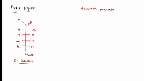 consider-the-fischer-projection-which-haworth-projection-corresponds-t0-the-p-pyranose-form-of-the-fischer-projection-oh-oh-choh-oh-ho-ho-oh-chz-choh-choh-oh_-onfton-42771