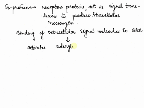 what-is-the-primary-role-of-g-protein-in-the-cell-the-g-protein-aids-in-the-activation-of-a-second-messenger-the-g-protein-transports-hormones-across-the-plasma-membrane-the-g-protein-acts-a-75634