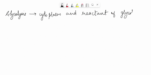 where-in-the-cell-does-glycolysis-take-place-in-glycolysis-which-molecule-is-the-reactant-hint-what-goes-in-which-element-must-be-present-for-aerobic-respiration-to-take-place-46719
