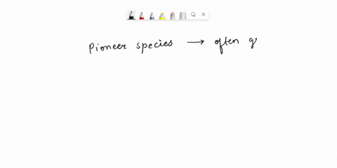 which-plant-characteristics-are-common-to-pioneer-species-03495