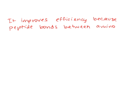 how-does-it-improve-the-efficiency-of-protein-synthesis-to-have-several-binding-sites-for-trna-clo-2-16465
