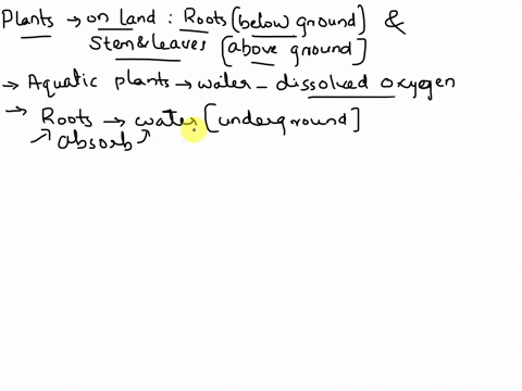 when-plants-made-the-move-onto-land-why-was-it-necessary-for-them-to-develop-roots-below-the-ground-and-stems-and-leaves-above-the-ground-provide-a-brief-explanation-06897