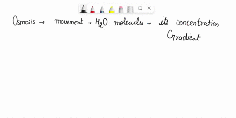 at-the-start-of-the-experiment-which-side-of-the-tube-hypntonic-and-which-s-hyperonic-explain-90a6-waler-10lo-starch-909-water-1093-starch-srudy-the-diagrams-of-the-beakers-1-2-to-the-night-10866