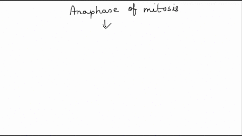 which-type-of-filament-is-involved-in-pulling-apart-the-chromosomes-during-anaphase-of-mitosis-keratin-kinesin-myosin-actin-filaments-microtubules-intermediate-filaments-33096