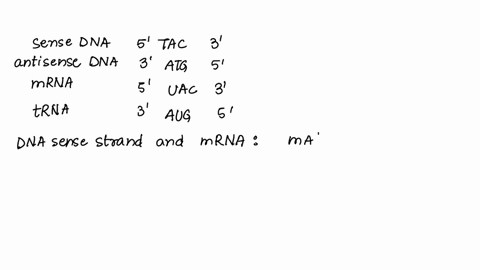 several-different-nucleic-acids-are-involved-in-the-process-of-getting-a-protein-produced-from-a-gene-dna-contains-the-genetic-code-for-the-protein-dna-is-double-stranded-but-only-one-strand-99932