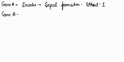 monnkhhhnhnnnmkaamhhnnhgoreuuyhnnlwnnan-mumpleichoicel-gene-a-sepal-formation-whorl-1-gene-8-petal-formation-whorl-2-gene-e-petal-formation-whorl-2-gene-c-stamen-formation-whorl-3-gene-e-car-49334