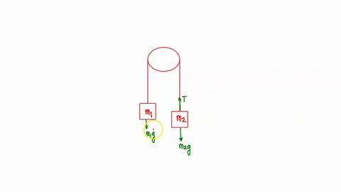 draw-a-free-body-diagram-of-m1-and-another-diagram-of-m2-on-an-atwood-machine-using-these-diagrams-apply-newtons-second-law-to-each-mass-assume-tension-is-the-same-on-each-mass-and-that-they-80337