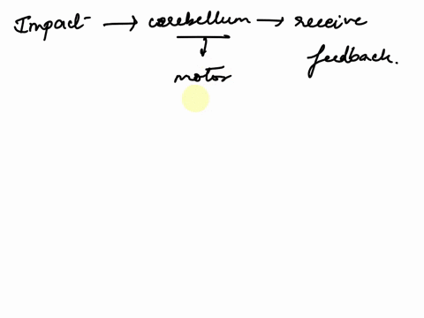 how-would-you-explain-the-impact-on-the-cerebellum-if-it-did-not-receive-feedback-from-the-skeletal-muscles-74617