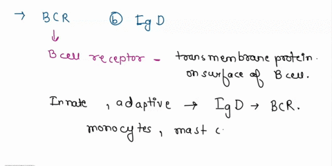 which-of-the-following-would-be-a-bcr-mhc-il-igd-cd4-mhc-63752