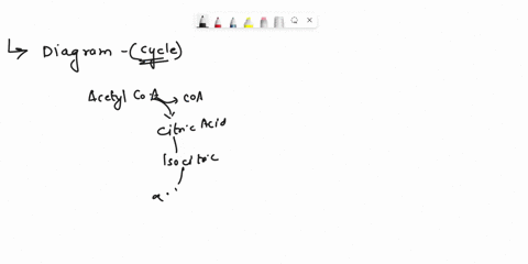 75-the-diogram-blaw-illvstratc-a-catbon-fxation-6-he-krebs-cyck-cyelie-chocphorylatian-nad-ie-electim-transhort-chain-ie-mobilizahon-cycle-76-preducte-of-thie-pathway-tkn-enter-afadh-madh-wh-02006