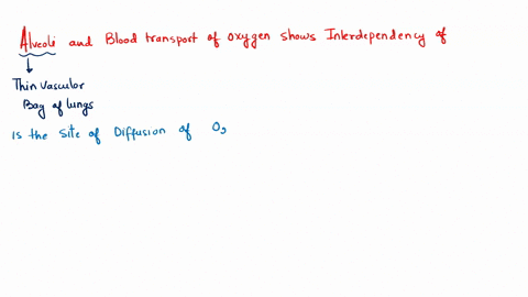 in-alveoli-tiny-air-sacs-in-the-lungs-oxygen-is-absorbed-and-then-transported-through-the-body-the-interaction-in-this-example-indicates-the-interdependence-of-which-system-a-skeletal-and-mu-88162