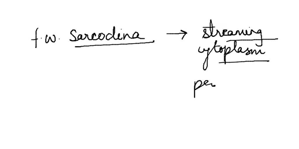 SOLVED Freshwater sarcodina characteristics A. Have a cell wall that contains chitin. B. Have