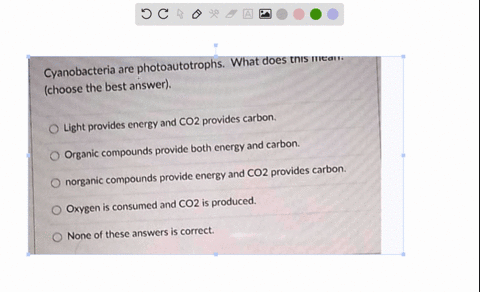 ll-what-does-this-mean-cyanobacteria-are-photoautotrophs-choose-the-best-answer-light-provides-energy-and-co2-provides-carbon-and-carbon-organic-compounds-provide-both-energy-compounds-provi-37179