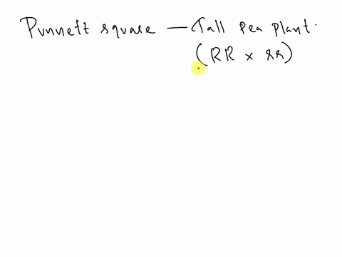 complete-a-punnett-square-that-shows-a-test-cross-for-a-tall-pea-plant-rr-x-rr-place-the-plant-to-be-tested-at-the-top-of-the-punnett-square-59565