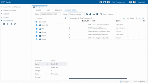 true-or-false-in-sas-datasets-the-descriptor-portion-contains-information-such-as-the-data-sets-name-type-and-the-names-of-variables