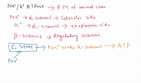 cells-of-the-brain-and-heart-along-with-those-in-much-of-the-body-need-to-transport-sodium-potassium-and-chlorine-ions-in-and-out-to-operate-sometimes-this-occurs-against-the-electric-field-73139