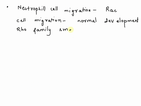 25-during-neutrophil-cell-migration-or-chemotaxis-rac-activation-dominates-at-the-front-of-the-cell-here-rac-functions-to-a-directly-bind-gpcrs-b-promote-arp23-activity-downstream-of-wasp-fa-12491