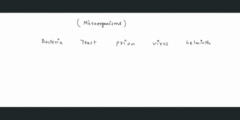 place-the-following-in-order-of-relative-size-from-largest-to-smallest-bacterial-cell-yeast-cell-virus-helminth-ploling-tolgnother-question-will-save-this-response-prion-99978