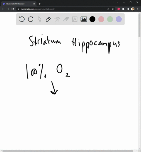 8-describe-a-hypothetical-mechanism-of-oxygen-therapy-45792