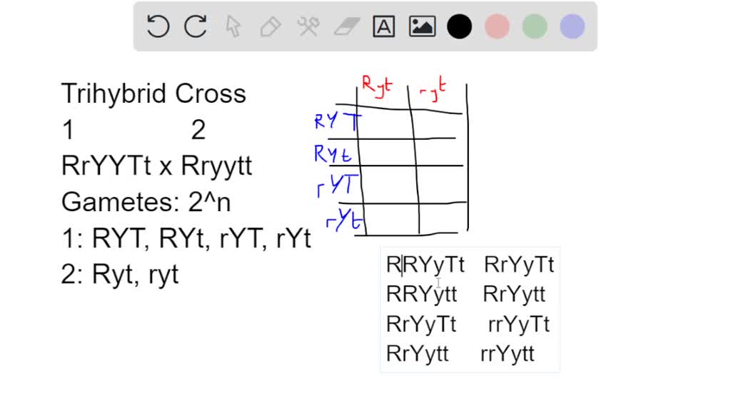 Considering the Mendelian traits round (R) vs. wrinkled and tall (T) vs ...