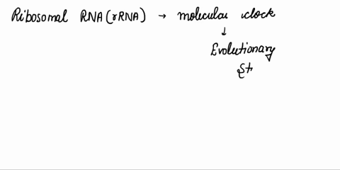 what-makes-ribosomal-rna-useful-as-a-molecular-clock-question-1multiple-choice-worth-2-points-what-makes-rbosomal-rna-useful-as-molecular-clock-a-large-portion-_-of-the-dna-ring-is-not-vital-30728