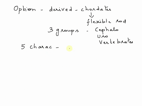 what-is-not-a-derived-trait-of-all-chordates-select-one-a-a-bony-endoskeleton-b-a-dorsal-and-hollow-nerve-cord-c-a-post-anal-tail-d-a-notochord-at-some-point-during-their-development-94233
