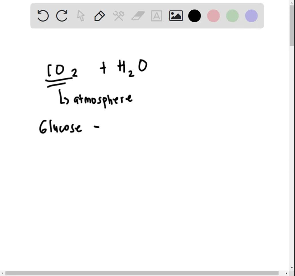 SOLVED Glucose is a product of photosynthesis. Where do the carbon
