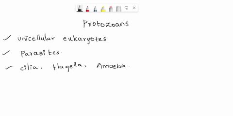 one-scheme-of-classification-of-protozoans-is-by-means-of-motility-match-the-classification-with-the-mode-of-locomotion-sporozoans-1parameciumcilia-subphylum-sacodina-2-leishmaniaflagella-am-98472