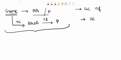 what-would-be-the-effect-of-the-following-mutations-on-the-production-of-the-protein-for-which-a-gene-codes-a-a-mutation-in-the-promoter-of-a-gene-so-that-rna-polymerase-cannot-bind-to-it-b-93797