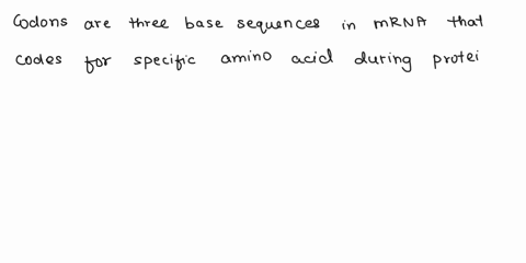 explain-the-relationship-between-codons-and-amino-acids-and-be-able-to-use-a-codon-table-to-translate-a-strand-of-mrna-48464