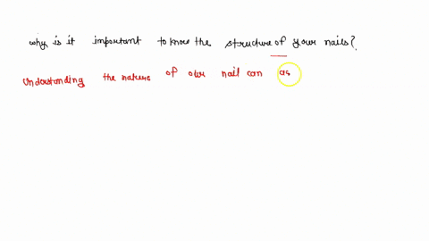 why-is-it-important-to-know-the-structure-of-your-nails-16536
