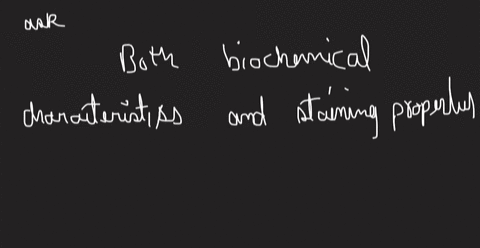 select-each-of-the-following-that-is-a-criterion-by-which-prokaryotes-are-classified-biochemical-characteristics-nucleotide-sequences-staining-properties-physiological-characteristics-morpho-71866