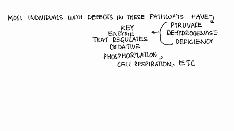 most-individuals-with-genetic-defects-in-oxidative-phosphorylation-are-found-to-have-relatively-high-concentrations-of-alanine-in-their-blood-explain-this-in-biochemical-terms-82414