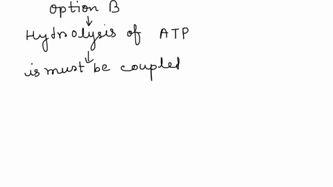 which-of-the-following-processes-must-be-coupled-to-an-exergonic-reaction-or-reactions-in-order-to-occur-conversion-of-protein-into-amino-acids-the-hydrolysis-of-atp-atp_-adp-facilitated-dif-65632