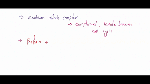 production-of-which-of-the-following-types-of-proteins-during-an-innate-immune-response-would-directly-lead-to-the-lysis-of-invading-bacterial-cells-membrane-attack-complex-perforin-immunogl-53898