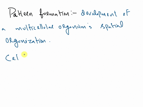 which-of-the-following-statements-about-pattern-formation-are-true-view-available-hints-select-the-four-statements-that-are-true-a-the-process-of-pattern-formation-involves-segmentation-of-t-09124