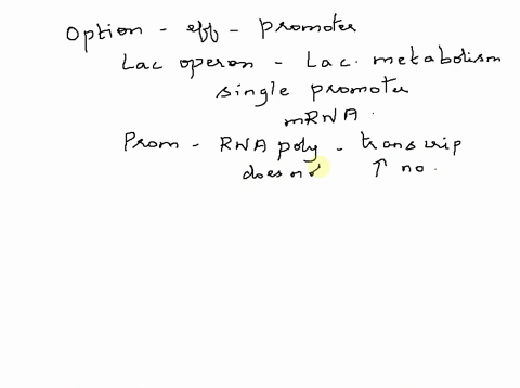mutations-in-any-of-the-genes-involved-in-lac-operon-will-lead-to-loss-of-functionality-what-is-the-effect-on-the-operon-if-the-lac-promoter-is-mutated-a-rna-polymerase-is-unable-to-bind-to-96148