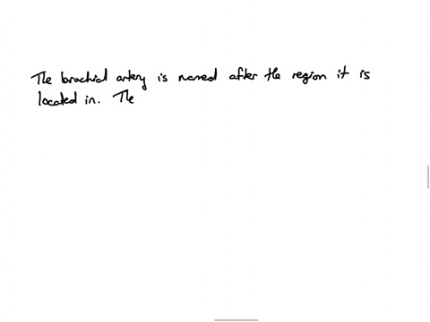 3-the-brachial-artery-is-found-in-which-region-of-the-body-a-lumbar-b-cervical-c-gluteal-d-brachial