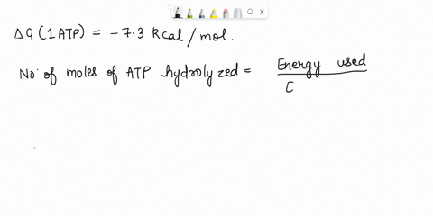 the-hydrolysis-of-atp-can-be-summarized-by-the-equation-below-atp-h2o-i-adp-pi-ig-a73-kcalmol-how-many-moles-of-atp-will-a-man-hydrolyze-in-a-day-if-he-expends-2300-kilocalories-of-free-ener-77652