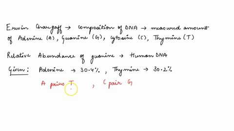 erwin-chargaff-investigated-the-nucleotide-composition-of-dna-he-analyzed-dna-from-various-organisms-and-measured-the-relative-amounts-of-adenine-a-guanine-g-cytosine-c-and-thymine-t-present-73251