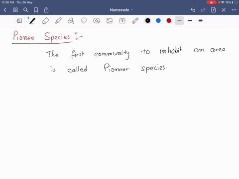 what-are-pioneer-species