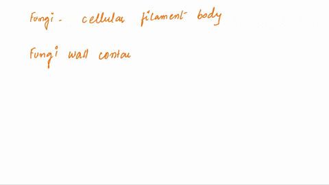 most-true-fungi-send-out-cellular-filaments-called-a-mycelia-b-hyphae-c-mycorrhizae-d-lichens-e-gills-2-the-cell-walls-of-most-fungi-contain-a-cellulose-b-lignin-c-chitin-d-pectin-e-peptidog-05833