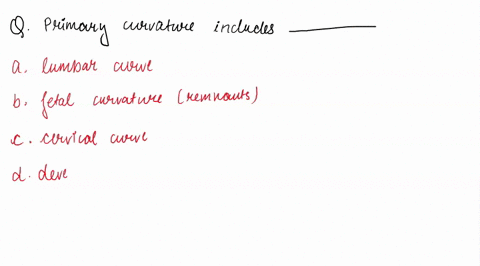 the-primary-curvatures-of-the-vertebral-column-______-a-include-the-lumbar-curve-b-are-remnants-of-t-70934