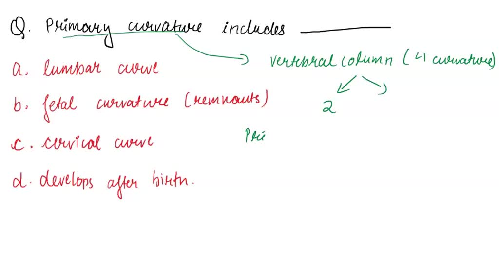 SOLVED: The curvature of the thoracic part of the vertebral column is a ...